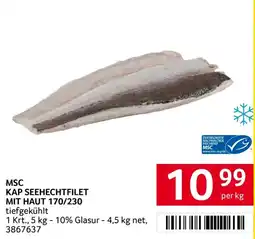 Transgourmet MSC Kap Seehechtfilet Angebot