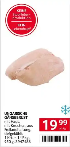 Transgourmet Ungarische Gänsebrust Angebot