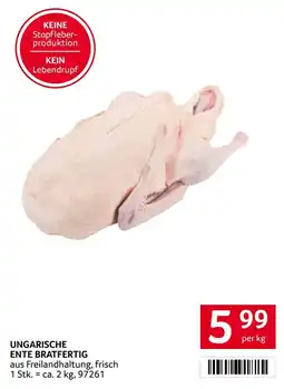 Transgourmet Ungarische Ente Bratfertig Angebot