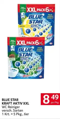 Transgourmet Blue Star Kraft Aktiv XXL WC Reiniger Angebot