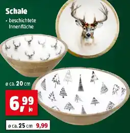 Thomas Philipps Schale Angebot