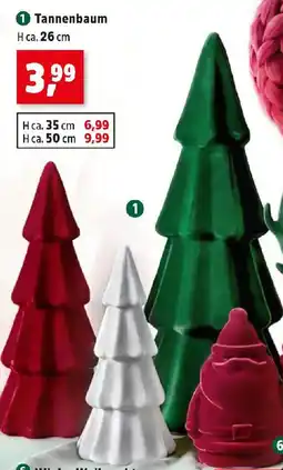 Thomas Philipps Tannenbaum Angebot