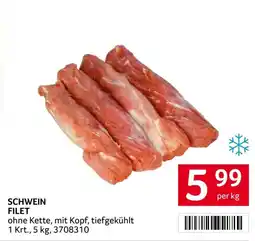 Transgourmet Schwein Filet Angebot
