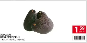 Avocado Hass Essreif