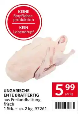 Transgourmet Ungarische Ente Bratfertig Angebot