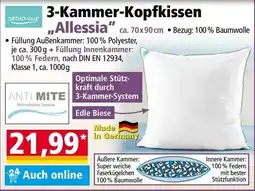 Norma 3-Kammer-Kopfkissen "Allessia" Angebot