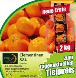 Norma DREAM Clementinen XXL Angebot