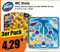 Norma Domestos WC Stein Angebot