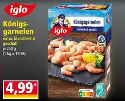 Norma Königsgarnelen iglo Angebot