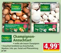 Norma Finest Garden Champignon-Anzuchtset Angebot