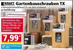 Norma Kraft Gartenbauschrauben TX Angebot