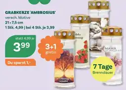 Bellaflora Grabkerze 'Ambrosius' Angebot