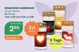 Bellaflora Grabkerze 'Ambrosius' Angebot