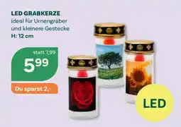 Bellaflora LED Grabkerze Angebot