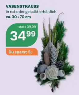 Bellaflora VASENSTRAUSS Angebot