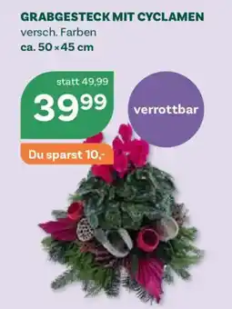 Bellaflora Grabgesteck mit Cyclamen Angebot