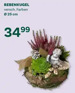 Bellaflora Rebenkugel Angebot