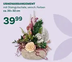 Bellaflora Urnenarrangement mit Steingutschale, versch. Farben Angebot