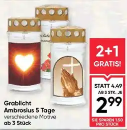 Maximarkt Grablicht Ambrosius 5 Tage Angebot