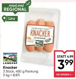 Maximarkt Knacker Angebot
