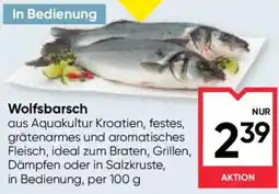 Maximarkt Wolfsbarsch Angebot