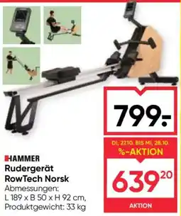 Maximarkt Hammer Rudgergerät RowTech Norsk Angebot