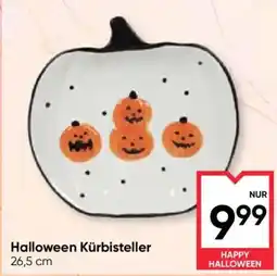 Maximarkt Halloween Kürbisteller Angebot