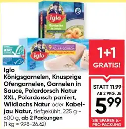 Maximarkt Iglo Königsgarnelen, Knusprige Ofengarnelen, Garnelen in Sauce, Polardorsch Natur XXL, Polardorsch paniert Angebot