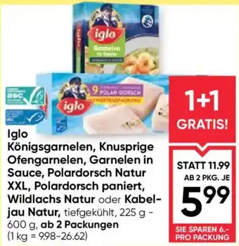 Iglo Königsgarnelen, Knusprige Ofengarnelen, Garnelen in Sauce, Polardorsch Natur XXL, Polardorsch paniert