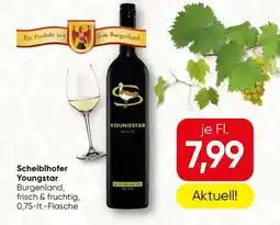 SPAR Gourmet Scheiblhofer Youngstar Angebot