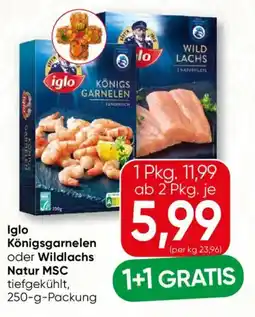 SPAR Gourmet Iglo Königsgarnelen oder Wildlachs Angebot