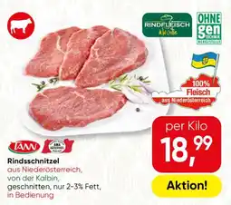 SPAR Gourmet TANN Rindsschnitzel Angebot