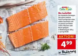 Interspar Bio-Lachsfilet Angebot