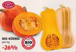 Hofer Bio-kürbis Angebot