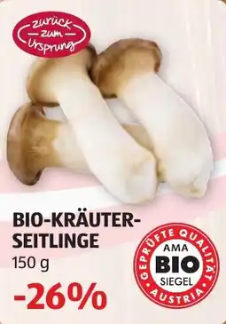 Hofer Bio-Kräuter-Seitlinge Angebot