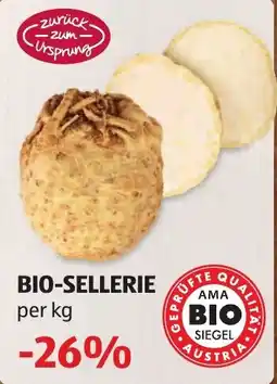 Hofer Bio-Sellerie Angebot