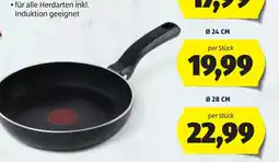 Hofer Tefal Pfanne Angebot