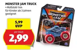Hofer Monster Jam Truck Angebot