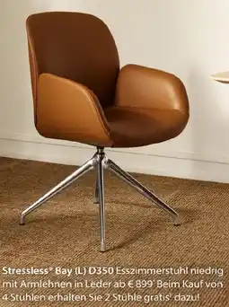 Rutar Stressless Bay (L) D350 Esszimmerstuhl niedrig mit Armlehnen in Leder Angebot