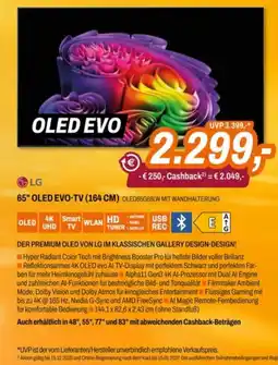 Expert LG 65" OLED EVO-TV (164 CM) Angebot
