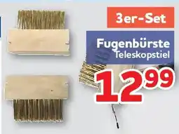 Center Shop Fugenbürste Teleskopstiel Angebot