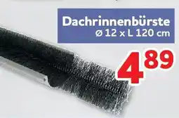 Center Shop Dachrinnenbürste Angebot