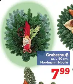 Center Shop Grabstrauß Angebot