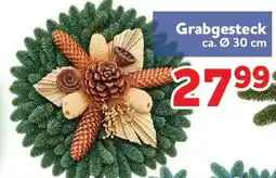 Center Shop Grabgesteck Angebot