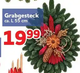 Center Shop Grabgesteck Angebot