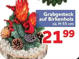 Center Shop Grabgesteck auf Birkenholz Angebot