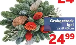 Center Shop Grabgesteck Igel Angebot