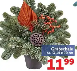 Center Shop Grabschale Angebot