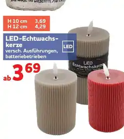 Center Shop LED-Echtwachskerze Angebot
