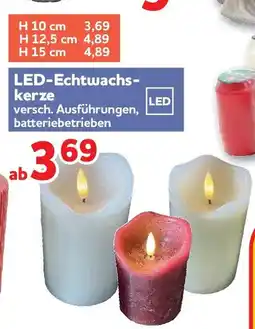 Center Shop LED-Echtwachskerze Angebot